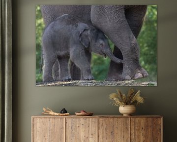 olifant met baby sur anja voorn