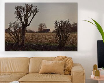 Bare dance of the branches - peace in the countryside by Momentaufnahme | Marius Ahlers
