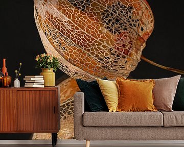 Perishable and fragile: A lantern from a lantern plant by Marjolijn van den Berg