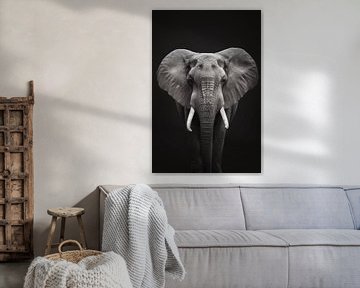 Olifant vooraanzicht