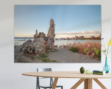 Mono lake