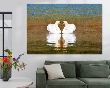 A swan's heart