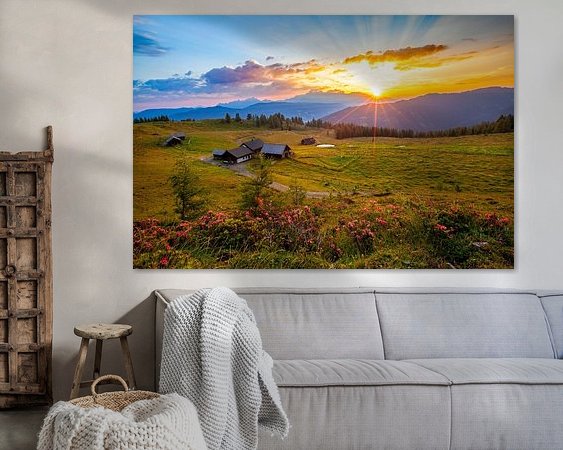 Aperçu de la chambre