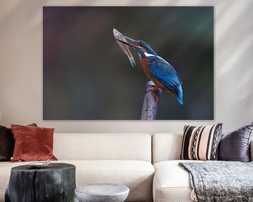 Eisvogel mit Fisch von Ronald Groenendijk