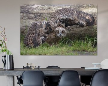 Europese Oehoe (Bubo bubo) van Ronald Pol