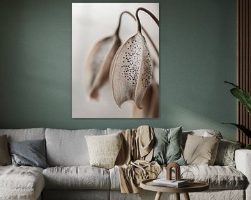 Droge bloem detail nr. 7 van Treechild