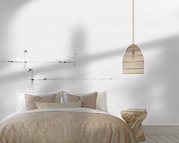 Zwanen van Martin van der Zee