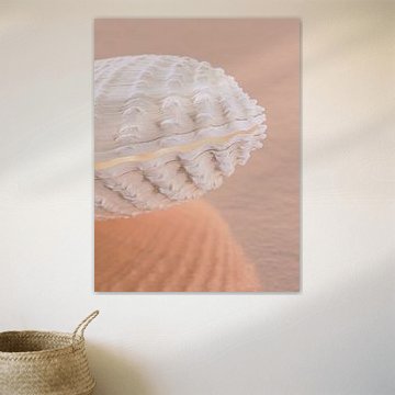 Pink sandy beach: The angled pastel shell by Marjolijn van den Berg