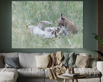 Two playing lynx cubs by Sonja Foerster-Odenthal
