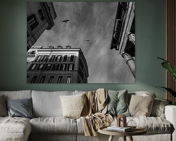 The Birds around the Pantheon Rome BNW by Martijn Jebbink Photography