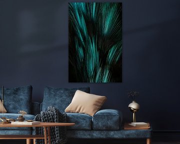 Verenpracht ijsvogel