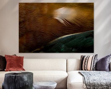Verenpracht ijsvogel van Danny Slijfer Natuurfotografie