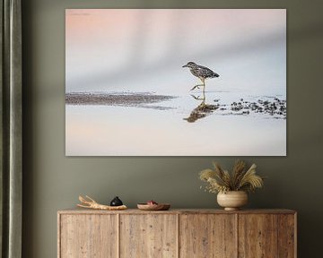 Een jonge kwak en zijn spiegelbeeld van Danny Slijfer Natuurfotografie