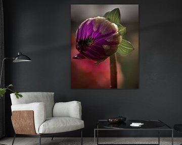 Fleur violette