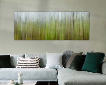 Reeds with ICM photography (panorama)
