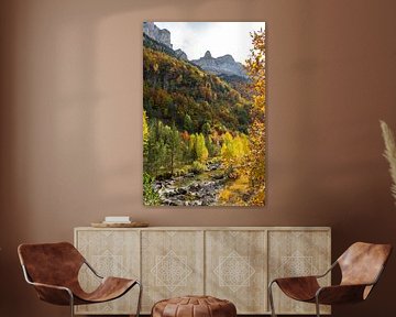 Farbenfrohe Wälder, Berge & Bäche
