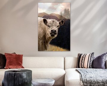 Nieuwsgierige Galloway koe in het Licht van de Bergen van Saranda Veld ArtWorks