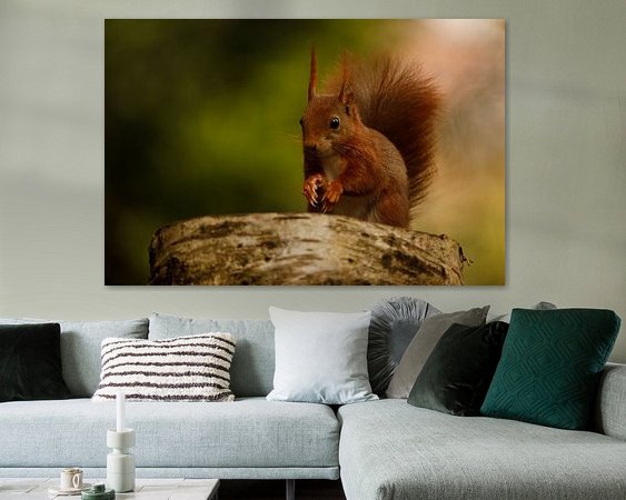 Aperçu de la chambre