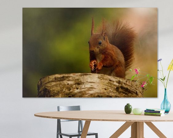 Aperçu de la chambre