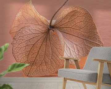 The dancing hydrangea petal: Fragile and vulnerable by Marjolijn van den Berg