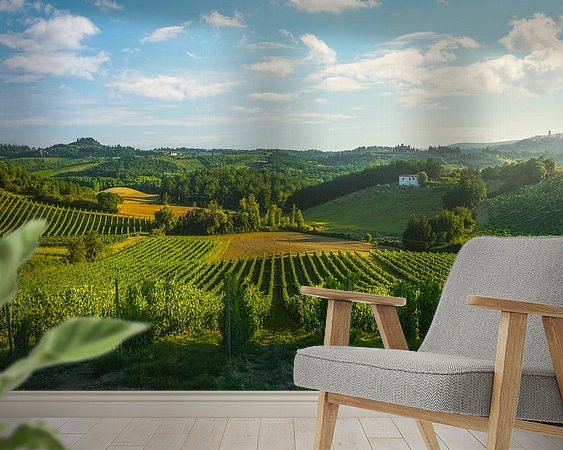 Aperçu de la chambre