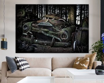 Abandoned cars by Eus Driessen