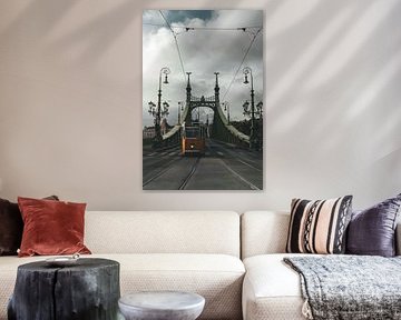 Freedom Bridge in Budapest by Endre Lommatzsch