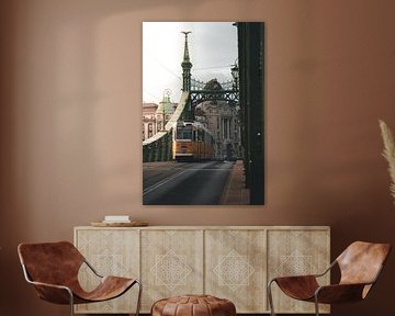 Freedom Bridge in Budapest by Endre Lommatzsch