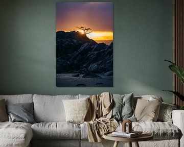Kracht van eenvoud van Niek Wittenberg