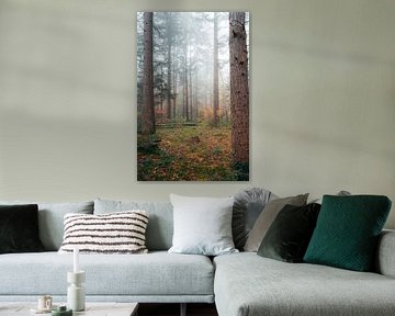 Fog in the forest by Niek Wittenberg