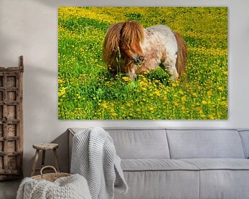 A pony by Christa Kramer