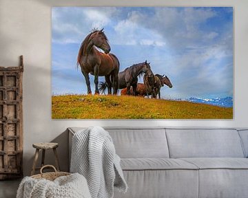 Noriker horses on the mountain by Christa Kramer