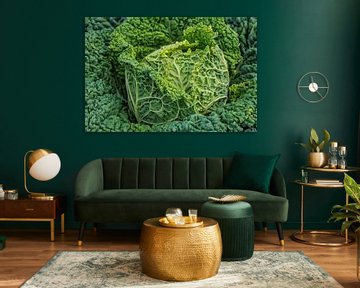 Savoy cabbage by MMFoto