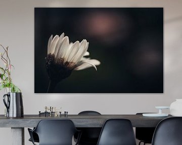 Ontwaken in het duister van Kim Heilema Fotografie