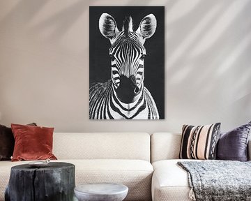 Zebra Style, No Apologies