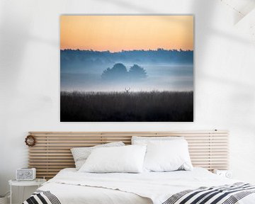 Red deer in an atmospheric landscape - 1 by Sander Grefte