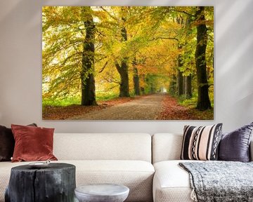 Beukenlaan in herfstkleuren van Corinne Welp