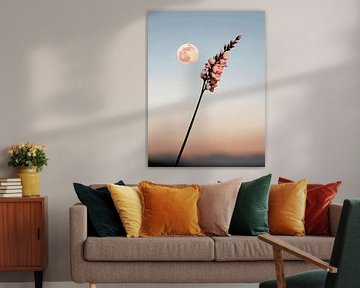 Het geluid van stilte