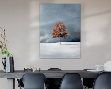 Traumhafte Geometrien