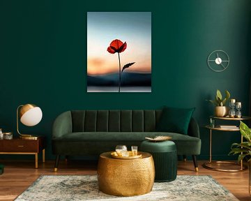 Afmetingen in balans