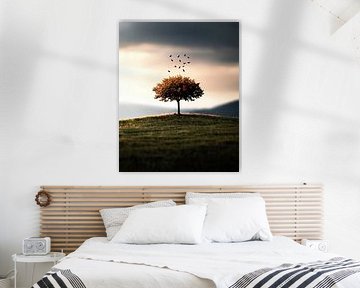 A Delicate Structure