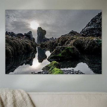 IJslandse vulkaankust van Ruud Bakker