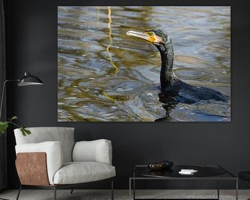 Kormoran über Wasser von Stobbe; stiltegrafie