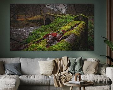 In de herfst als de bladeren fluisteren - Alte Poststraße Weitenegg bij Melk Oostenrijk van Robert Knapp Fotografie