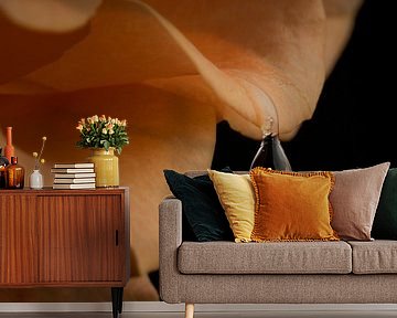 blijf hangen van iwan faber