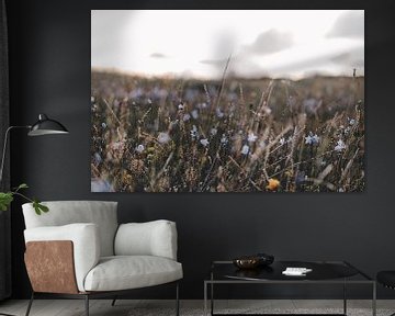 Bloemenveld in de Zomer | foto fine-art print | Rømø Denemarken van Elise van Gils