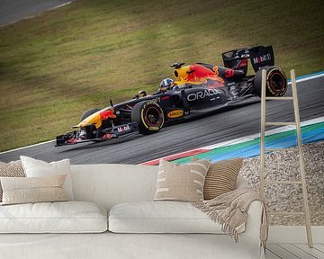 Red Bull's RB7 in action during Jack's Racing Day by Martijn de Bruijn