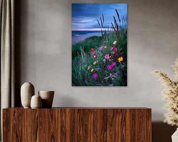 Flowering meadow on the beach - evening mood by Poster Art Shop