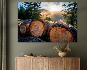 Bäume im Nebel – Natürliche Atmosphäre von Poster Art Shop