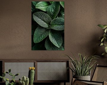 Grüne Blätter in Nahaufnahme – Details von Poster Art Shop